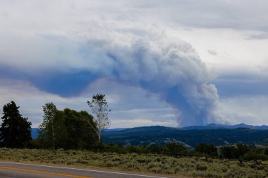 Wyoming 'deki Bridger Teton Ulusal Ormanı' nda çıkan yangından çıkan duman. 