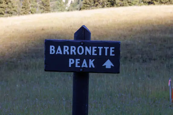 stock image Wood sign indicating Barronette Peak from Hwy 212 in Wyoming during summer.