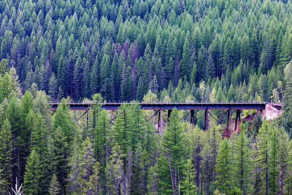 stock image Train trestle bridge surrounded by evergreen trees during summer in Montana.