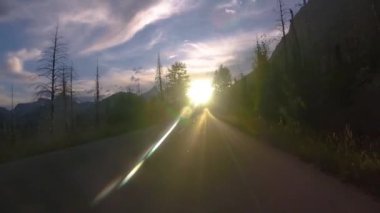 Buzul Ulusal Parkı, Montana, ABD 'deki Güneşe Giden Yol' da kör edici güneş ışığına doğru sürüyorum.