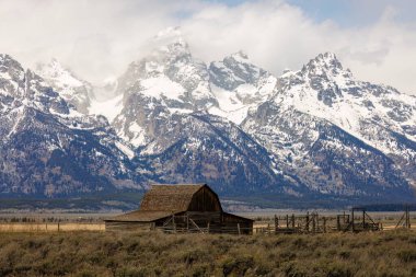 John Moulton ahırı karla kaplı Teton Dağları Mormon Row, Grand Teton Ulusal Parkı, Jackson Hole, Wyoming 'in arka planında bahar boyunca