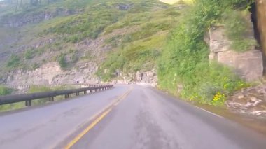 Yaz mevsiminde Montana 'daki Buzul Ulusal Parkı' nda Samanlık Deresi 'nin yanından geçerken.