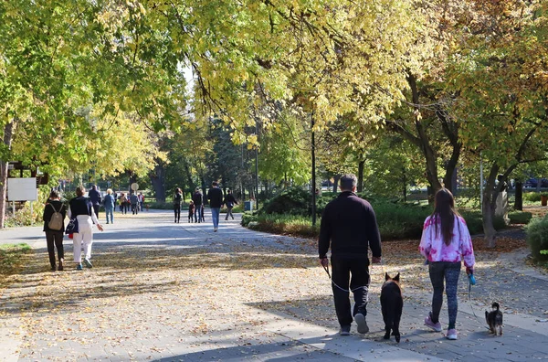 stock image People are walking in the woods autumn time