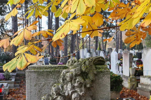 Tumbas Cementerio Público —  Fotos de Stock