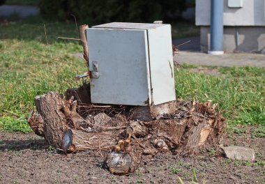 Kesilmiş bir ağaç gövdesine kazınmış elektrikli metal kutu.