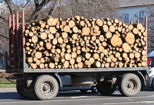 Brennholz Auf Einem Anhänger Winter — Stockfoto