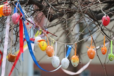 Ağacın dallarında paskalya yumurtaları