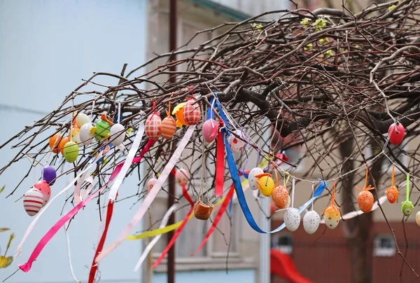 stock image Easter eggs on the branches of a tree