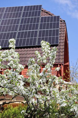 Evin çatısındaki güneş panelleri, çiçeklere odaklan.