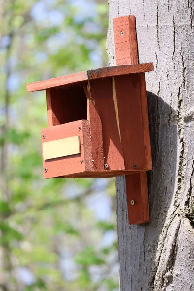 Dom Karmnika Dla Ptaków Drzewie Lesie — Zdjęcie stockowe