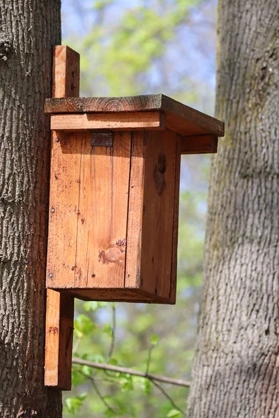 Vogelfutterhaus Auf Einem Baum Wald — Stockfoto