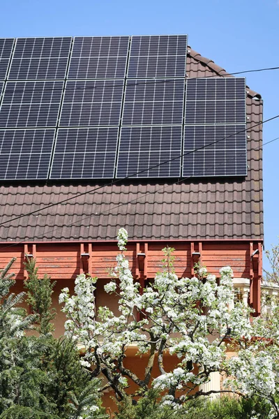 Solar panels on the roof of a house, selective focus, focus on the flowers