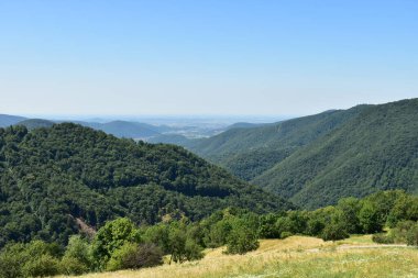 Avusturya 'daki Julian Alpleri manzarası