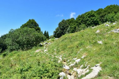 Avusturya 'daki Julian Alpleri manzarası
