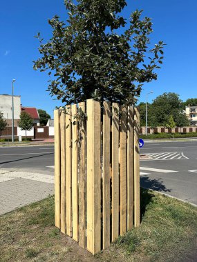 Sokaktaki zararlara karşı bir ağacı savunmak.