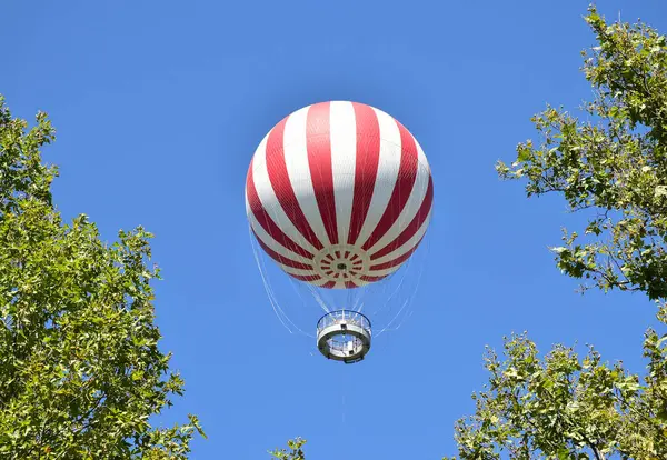 ブダペスト市の木の上の熱気球 — ストック写真