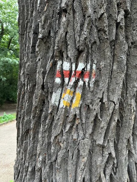 Schilder Baumstamm Für Touristen — Stockfoto