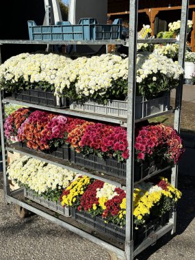 Azizler Günü 'nde halk mezarlığında çiçek satışı.