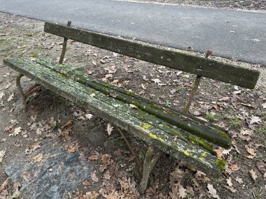 Caddedeki eski ahşap bankta.