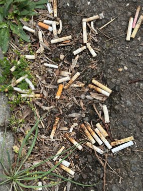Sigara izmaritleri sokakta çöp gibi.