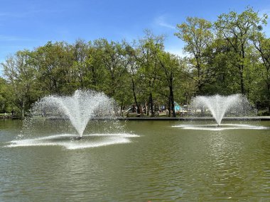 Macaristan 'ın Debrecen kentinde göldeki çeşme.