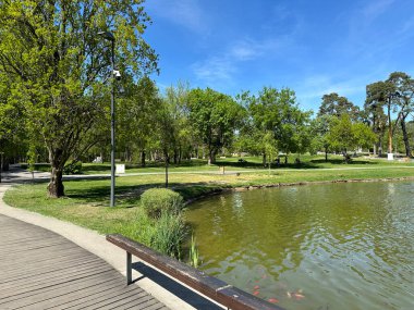 Macaristan 'ın Debrecen şehrinde göl ve ağaçlar