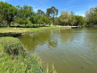Macaristan 'ın Debrecen şehrinde göl ve ağaçlar