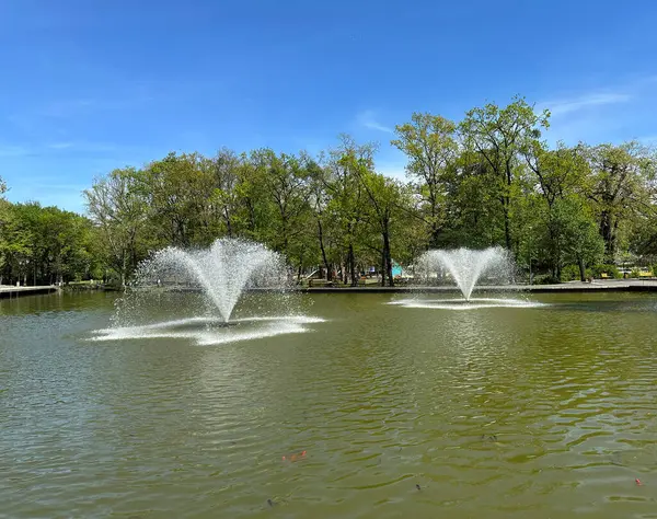 Fontaine Dans Lac Debrecen Ville Hongrie Images De Stock Libres De Droits
