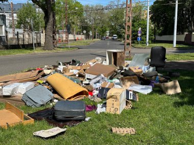 Şehrin hemen yanındaki çöplükte.