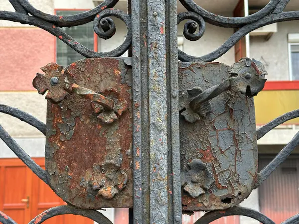 建物の古い錬鉄の門 ロイヤリティフリーのストック画像