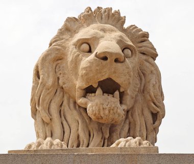 Budapeşte 'deki ünlü zincir köprüsünün aslan heykeli.