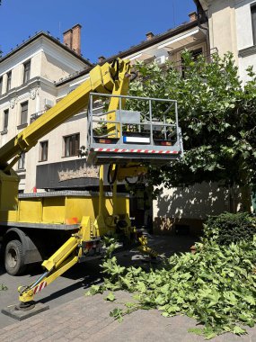 Sokakta yüksek bir ağacın dallarını kesiyor.