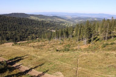 Slovakya Tatra dağında Bachledka