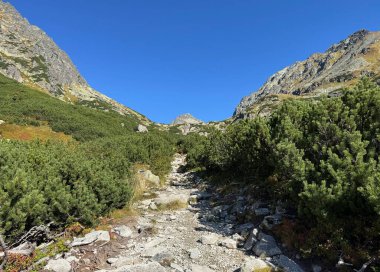 Slovakya Tatra dağında Lorenz ghat