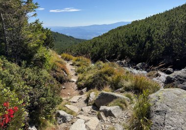 Slovakya Tatra dağında Lorenz ghat