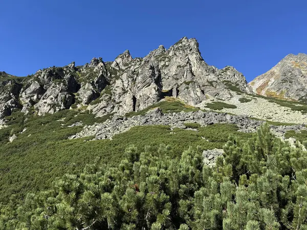 Slovakya Tatra dağında Lorenz ghat