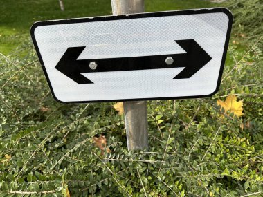 Yeşil bir çalılığın üzerinde ok işareti