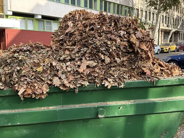 Sonbaharda dökülen yapraklarla dolu endüstriyel çöp kutusu.