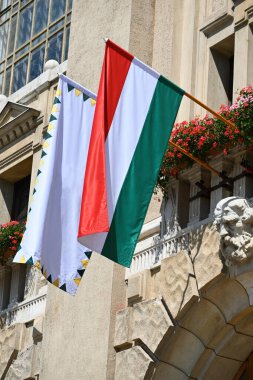 Üniversite cephesinde Macar ulusal bayrağı