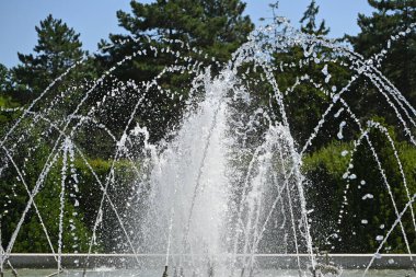 Yaz mevsiminde kısa pozlama süresi