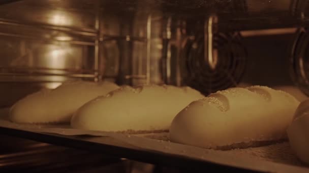 Baking Loafs Bread Bakery Oven High Temperature Close Time Lapse — Stock Video