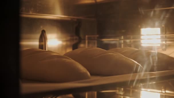 Tid Förflutit Bakning Limpor Bröd Bageriet Ugn Med Hög Temperatur — Stockvideo