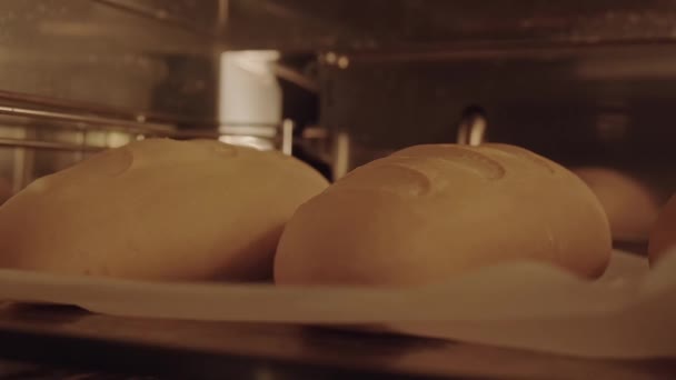 Baking Process Loafs Bread Bakery Oven High Temperature Close — стоковое видео