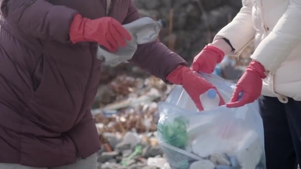 Female Volunteers Cleaning Plastic Waste Beach Demonstrating Environmental Activism Putting — Stok video