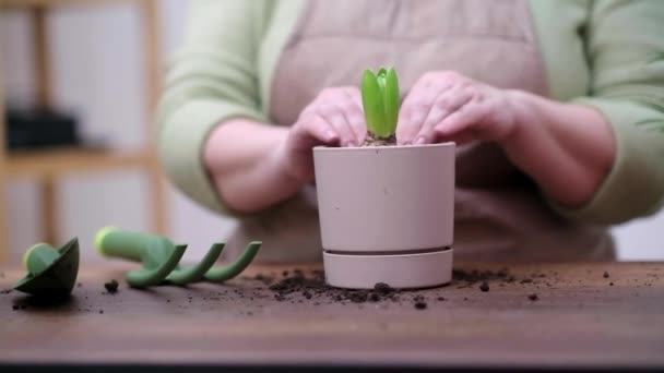 Trädgårdskvinna Förkläde Vårdande Krukväxt Ett Växthus Omgivet Växter Kärlek Till — Stockvideo