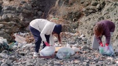 Çevreye duyarlı gönüllüler okyanus plastiği problemine karşı harekete geçiyor. Sahilden atık ve diğer çöpleri toplayın ve geri dönüşüm için poşetlere koyun.. 