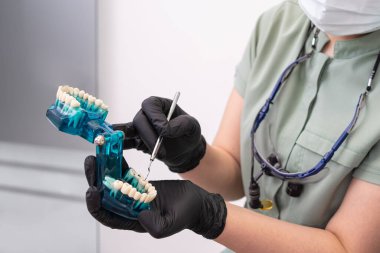 Doktor diş modelini, diş ve diş sorunlarını ve tedavi planlarını görsel olarak göstermek için kullanır. 