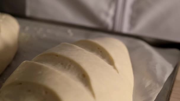 Panettiere Versando Semi Setacciati Pasta Preparata Pane Pane Rallentatore Prima — Video Stock