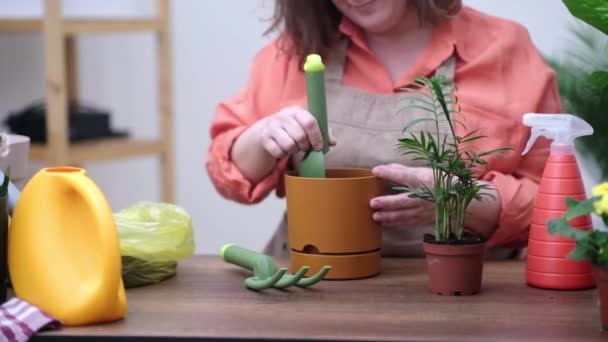 Home Gardening Und Biophile Gestaltung Frau Schürze Kümmert Sich Urbanen — Stockvideo