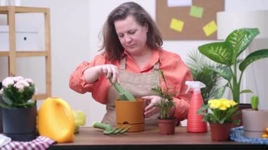 Bir kadın evdeki bitkileri yeni bir çömleğe naklediyor, daha iyi yetişmesi için toprak zemini ve gübre ekliyor, ev işleri hobisi